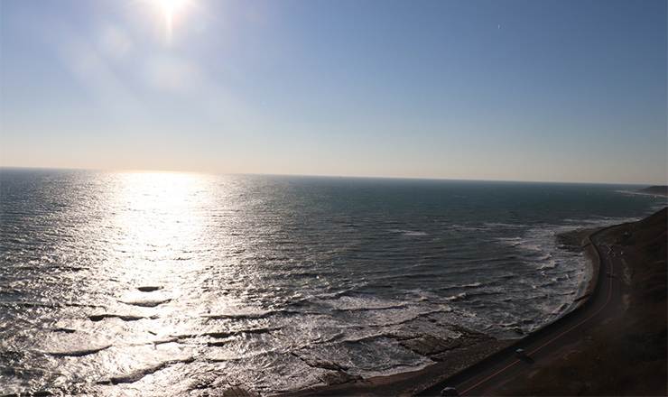 2018年11月11日御前崎市立図書館（御前崎）